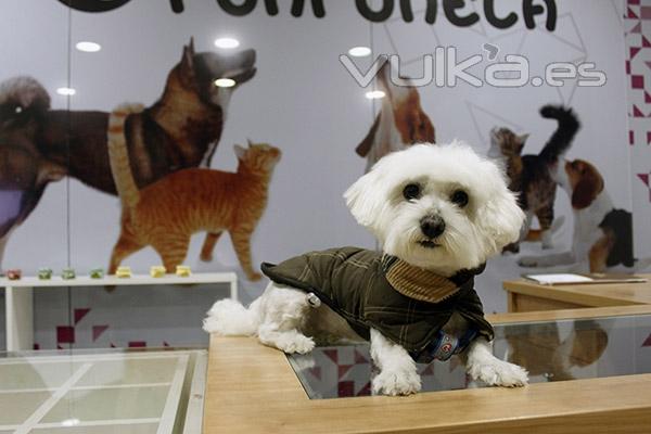 Clienta de Runrunela, peluquera canina en Pamplona, Burlada, Huarte, VIllava, Ansoain, Sarriguren..