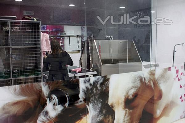 Peluquera canina en Villava, para Burlada, Huarte, Arre, Sarriguren, Ezkaba, Ansoain, Chantrea...