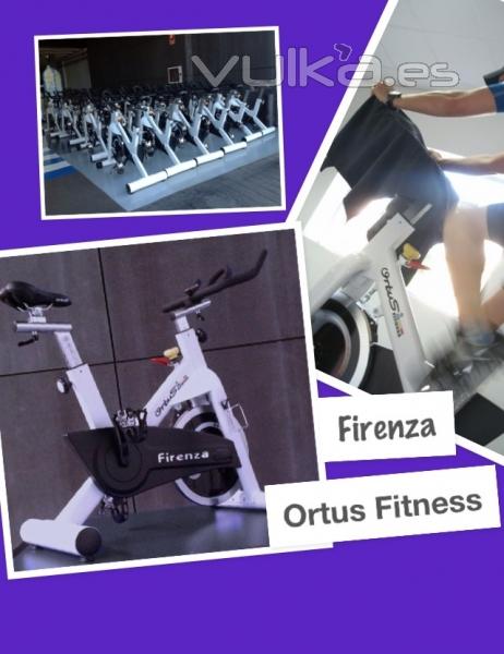 Ortus Fitness