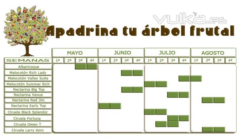 Calendario de variedades. Toma nota y elige la que ms te gusta, ya sabes que puedes elegir ms de 1