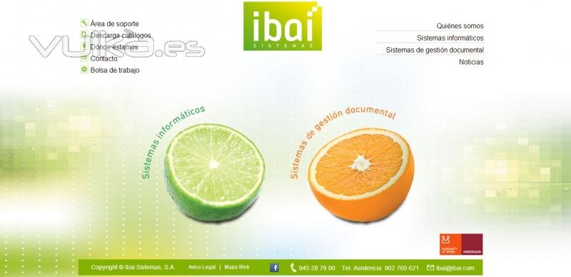 Pagina Web de Ibai Sistemas S.A.