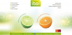 Pagina Web de Ibai Sistemas S.A.