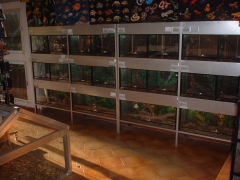 Foto 63 residencia para animales en Madrid - Triton Reptiles