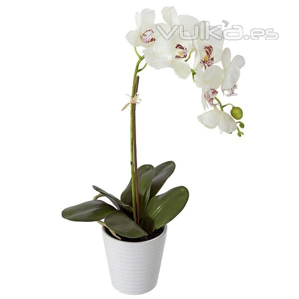Planta flores orquideas artificiales blancas latex 45 en La Llimona home