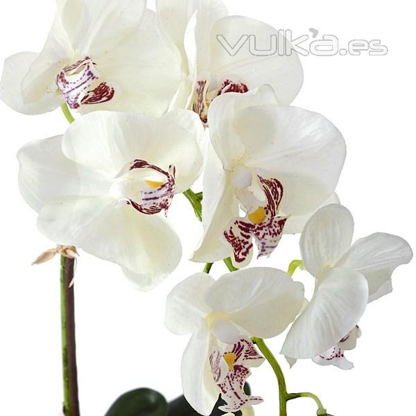 Planta flores orquideas artificiales blancas latex 45 en La Llimona home (1)