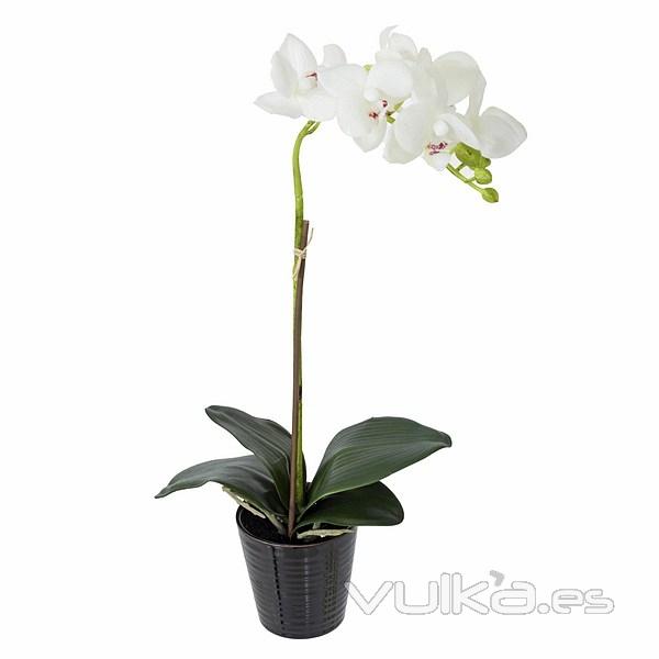 Planta flores orquideas artificiales blancas latex 42 en La Llimona home