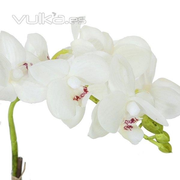Planta flores orquideas artificiales blancas latex 42 en La Llimona home(1)