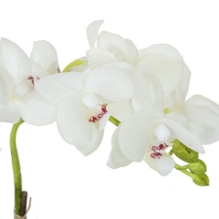 Planta flores orquideas artificiales blancas latex 42 en la llimona home(1)