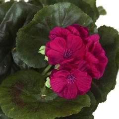 Plantas artificiales con flores planta flores geranio artificial pequeno cereza en la llimona 2