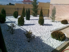Gregogarden (gregorio higueras sanchez) - foto 8