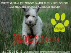 Foto 20 animales de compaa en Castelln - Din-dog Piensos