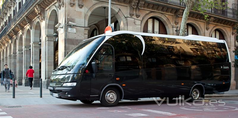 Alquiler Minibuses de Lujo con Conductor