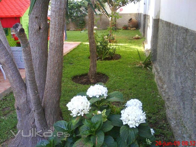 Un pequeo jardin con encanto