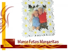 Marco foto margaritas