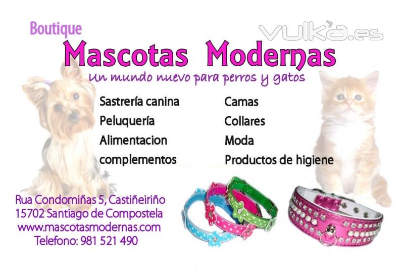 MASCOTAS MODERNAS