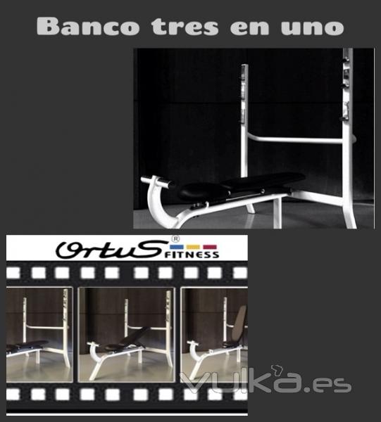 Ortus Fitness