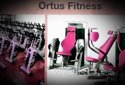 Ortus Fitness