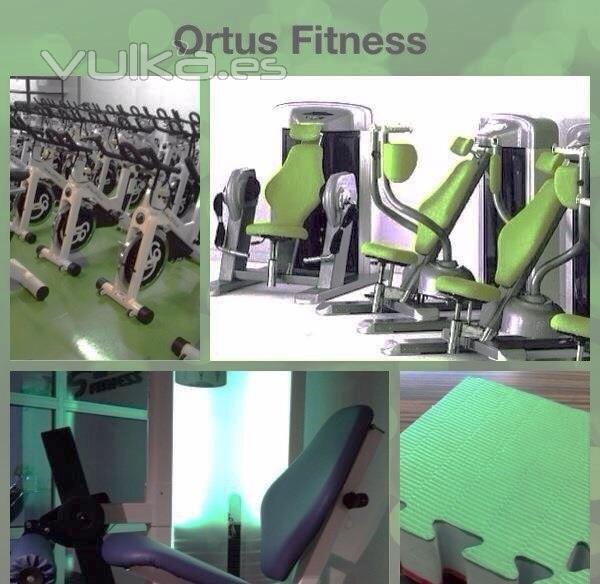Ortus Fitness