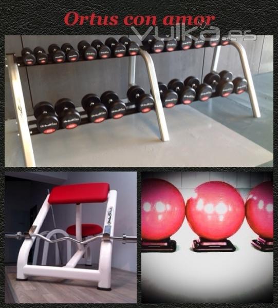 Ortus Fitness