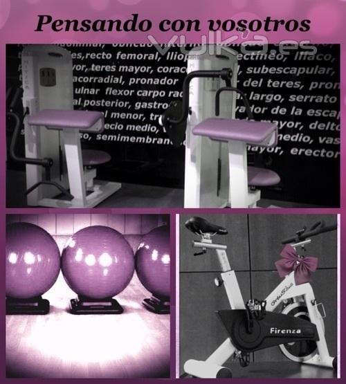 Ortus Fitness