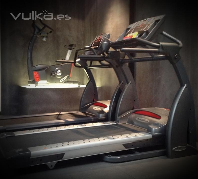 Ortus Fitness