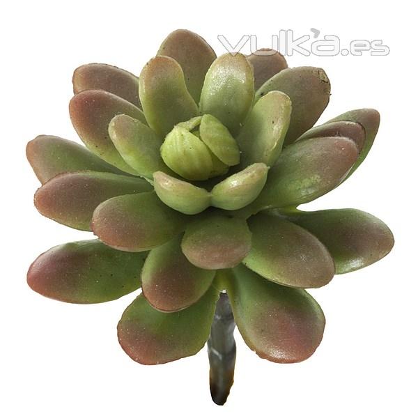 Plantas artificiales. Planta mini echeveria pulindonis artificial bicolor 10