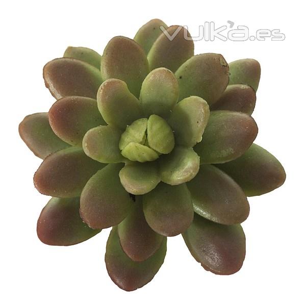 Plantas artificiales. Planta mini echeveria pulindonis artificial bicolor 10 en La Llimona home (2)