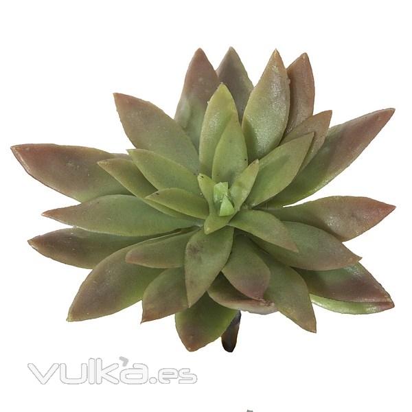 Plantas artificiales. Planta mini graptopetalum artificial bicolor 12 en La Llimona home