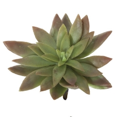 Plantas artificiales. planta mini graptopetalum artificial bicolor 12 en la llimona home