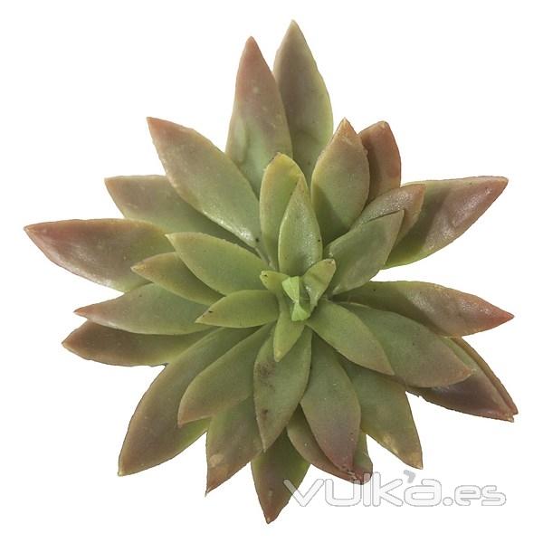 Plantas artificiales. Planta mini graptopetalum artificial bicolor 12 en La Llimona home (2)