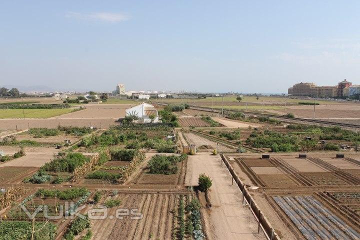 huertos urbanos valencia 2