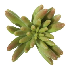 Plantas artificiales planta mini crasa sedum artificial bicolor 12 en la llimona home (2)