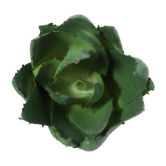 Plantas artificiales planta mini crasa aloe artificial verde oscuro 14 en la llimona (2)