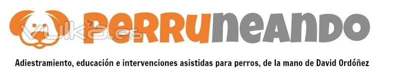 David Ordez Prez - Educador canino, T en Modificacin de Conductas y Especialista en Terapia Asistida por Perros