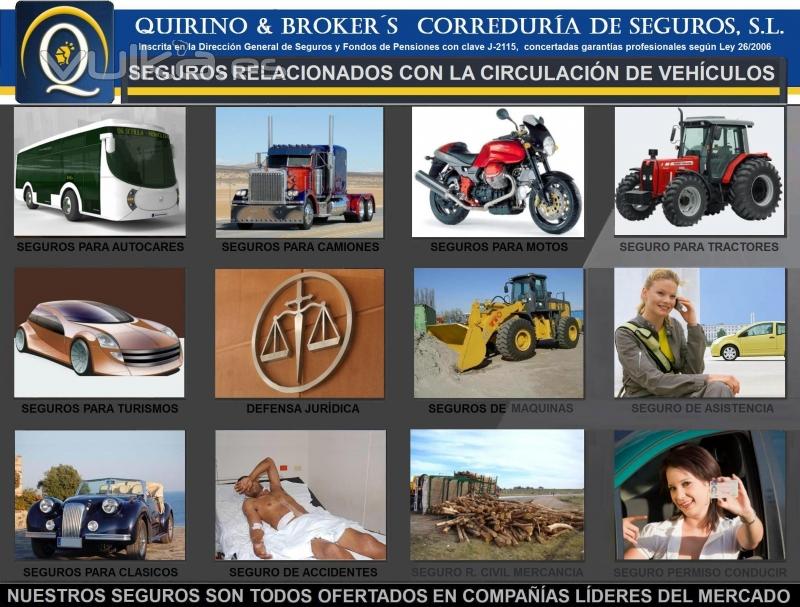 QUIRINO & BROKERS -  Seguros que ofrecemos que estn relacionados con la circulacin de vehculos. 