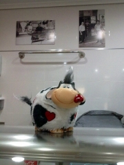 Cal Pichiringo - Foto 26