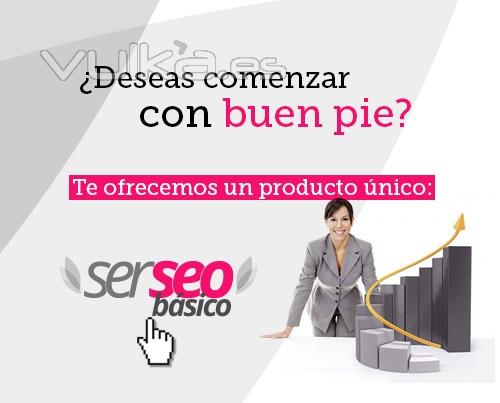 Servicios SEO SEM SOCIAL MEDIA en Cantabria, Asturias, Pais Vasco, Valencia, Sevilla y Madrid