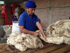 Clasificacin lana
