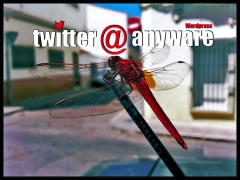 Twitter @Anyware