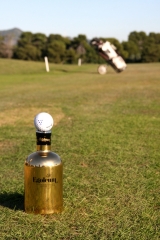 Egoleum y golf