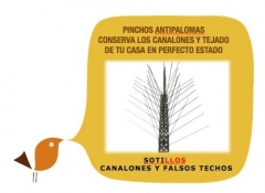 Sistemas antipalomas, solucion al anidamiento de aves en nuestros tejados y canalones