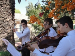 Foto 245 bodas en Cádiz - Trio D'arezzo