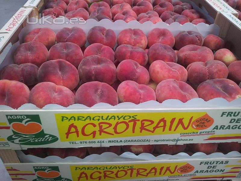 Paraguayos - Espaa - Zaragoza - Ricla Frutas AgroTrain S.L