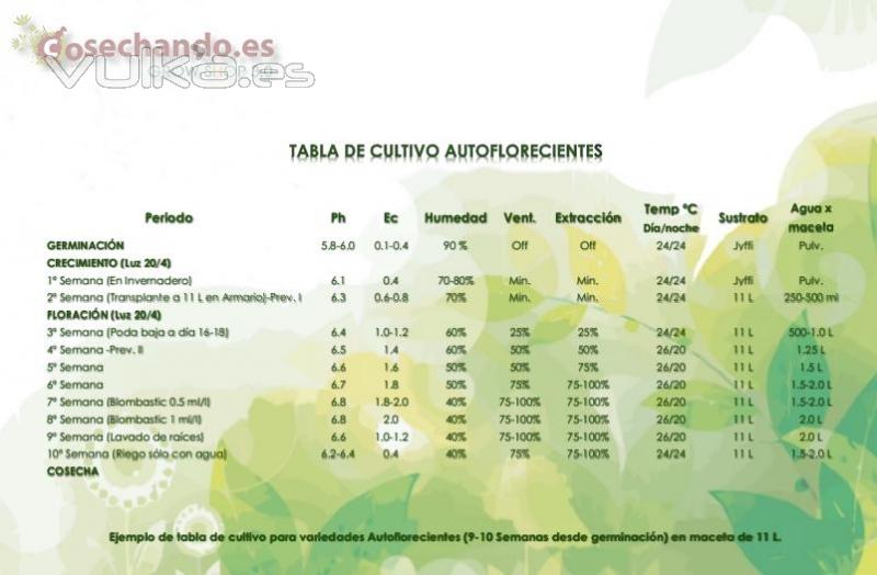 Tabla de cultivo autoflorecientes