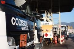 Codisoil sa - foto 1