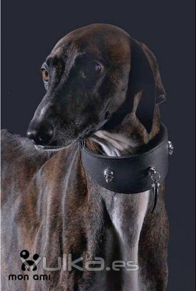 Collares especiales para galgo