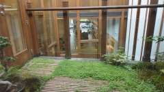 Terraza patio 1.