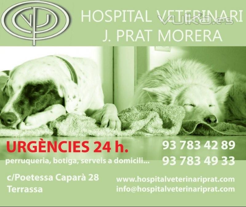 HOSPITAL VETERINARIO J.PRAT