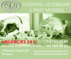 Foto 72 veterinarios en Barcelona - Hospital Veterinario Jprat