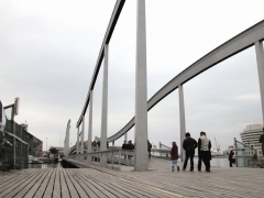 Puente maremagnum barcelona